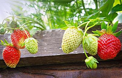 《跳跃的你 Plus》Steam页面开放 发售日待定